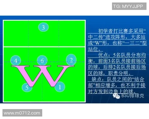深入分析成都排球队的反击战术及其在比赛中的应用效果